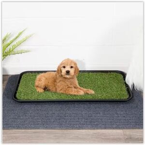 Pet Potty Trainer Easy Clean Indoor/Outdoor Tray with Reusable Grass Pad NEW